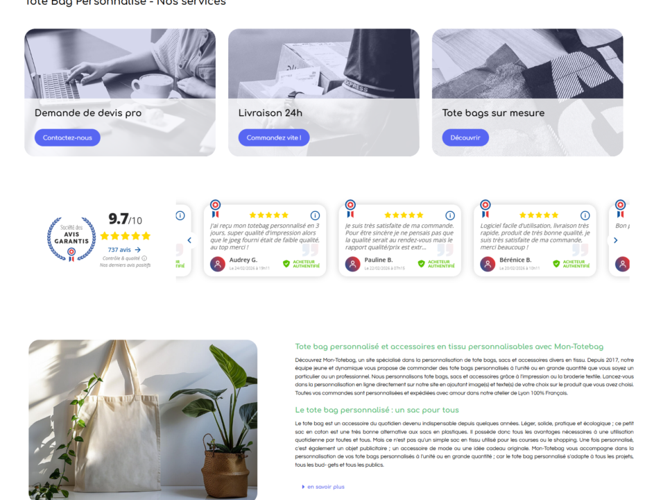 montotbag_capture2 montotbag_capture2